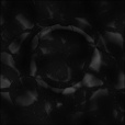 Bump Map