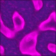 Diffuse Map