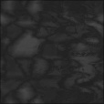 Bump Map