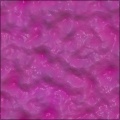 Jelly