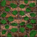 Vines on wall