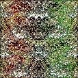 Variation 7