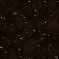 Ant Farm