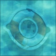 Diffuse Map