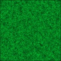 Field