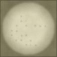 Diffuse Map