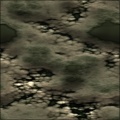 Mould