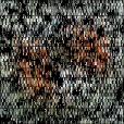 Variation 2