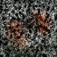 Variation 4