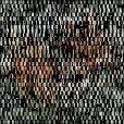 Variation 5