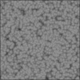 Bump Map