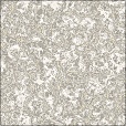 Diffuse Map