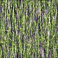 Diffuse Map