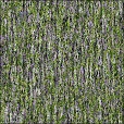 Variation 4