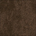 treebark
