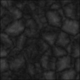 Bump Map