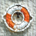 bubbly plastic