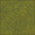 Diffuse Map