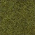 moss - grass