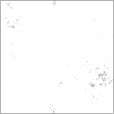 Bump Map