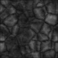 Bump Map