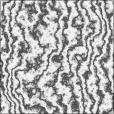 Diffuse Map