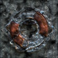 Variation 7