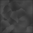 Bump Map