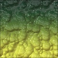 Dragon Skin