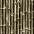 Bamboo
