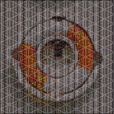 Variation 7