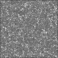Bump Map