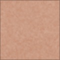 Human Skin
