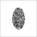 Fingerprint