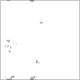 Bump Map