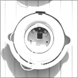 Diffuse Map