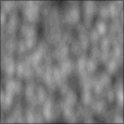 Bump Map
