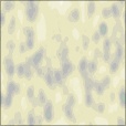 Diffuse Map