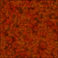Diffuse Map