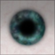 Diffuse Map