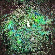 Variation 1