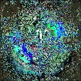 Variation 4
