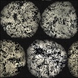 Diffuse Map
