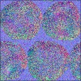 Normal Map