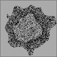 Bump Map