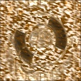 Variation 7