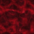 Diffuse Map