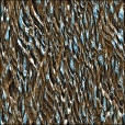 Variation 4