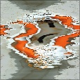 Variation 7