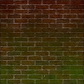 Brick moss